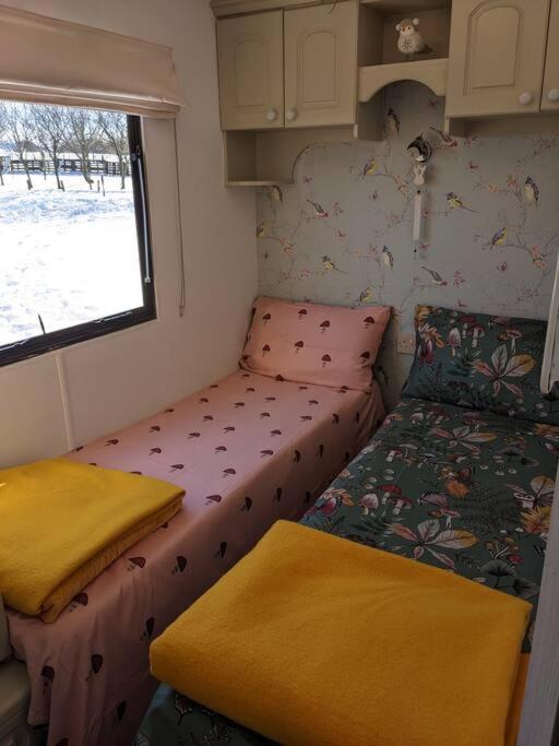 Ferny Roost Cabin. เร็กซ์แฮม ภายนอก รูปภาพ